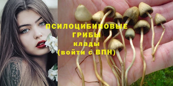 каннабис Белокуриха